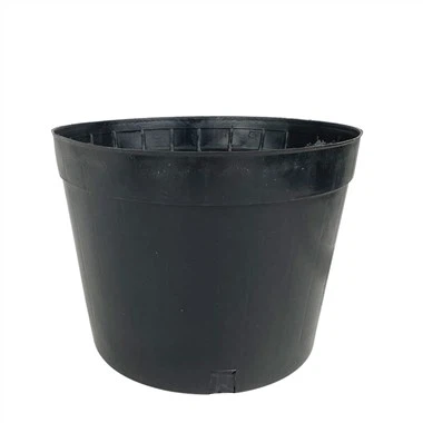 Plant Of Ódýr Blómapott
